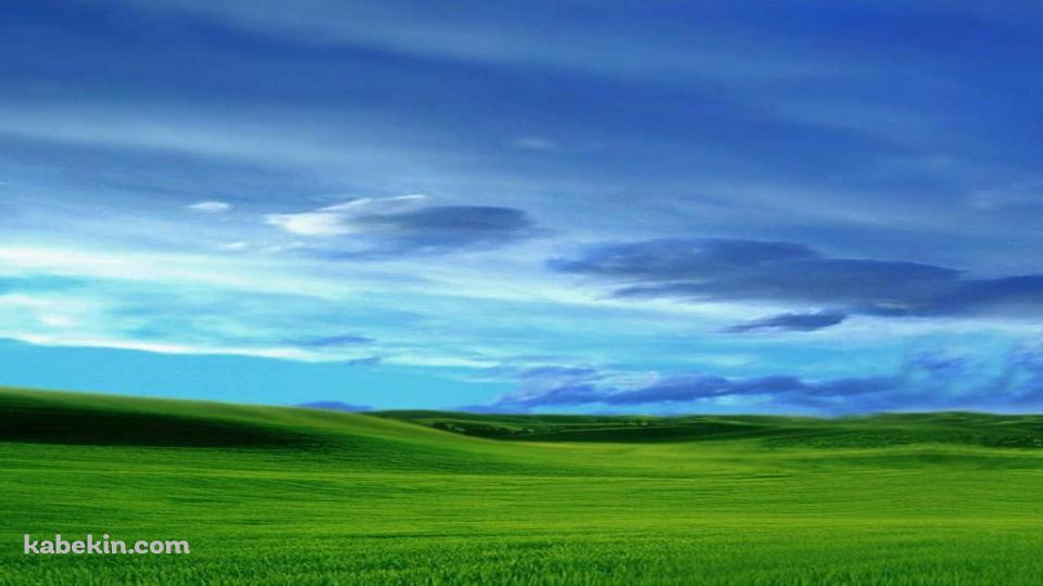 青い空と緑の草原の壁紙(960px x 540px) 高画質 PC・デスクトップ用