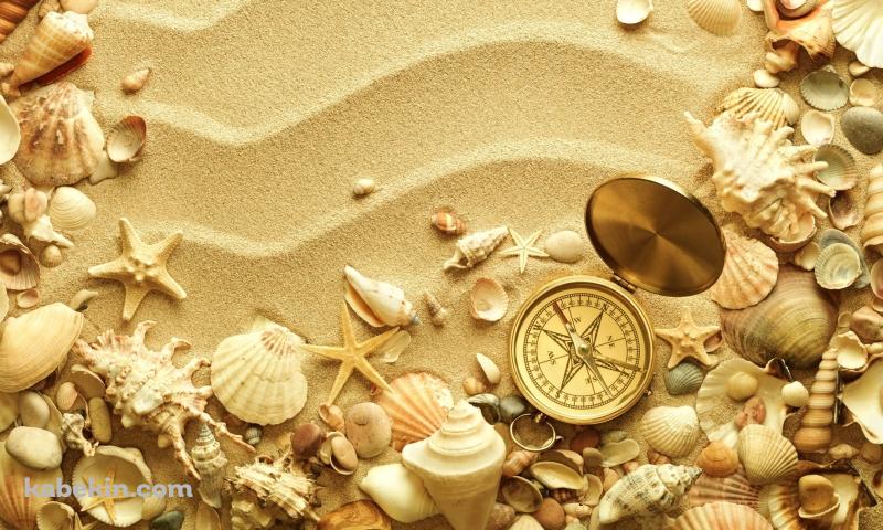 貝殻とコンパスと砂浜の壁紙(800px x 480px) 高画質 PC・デスクトップ用