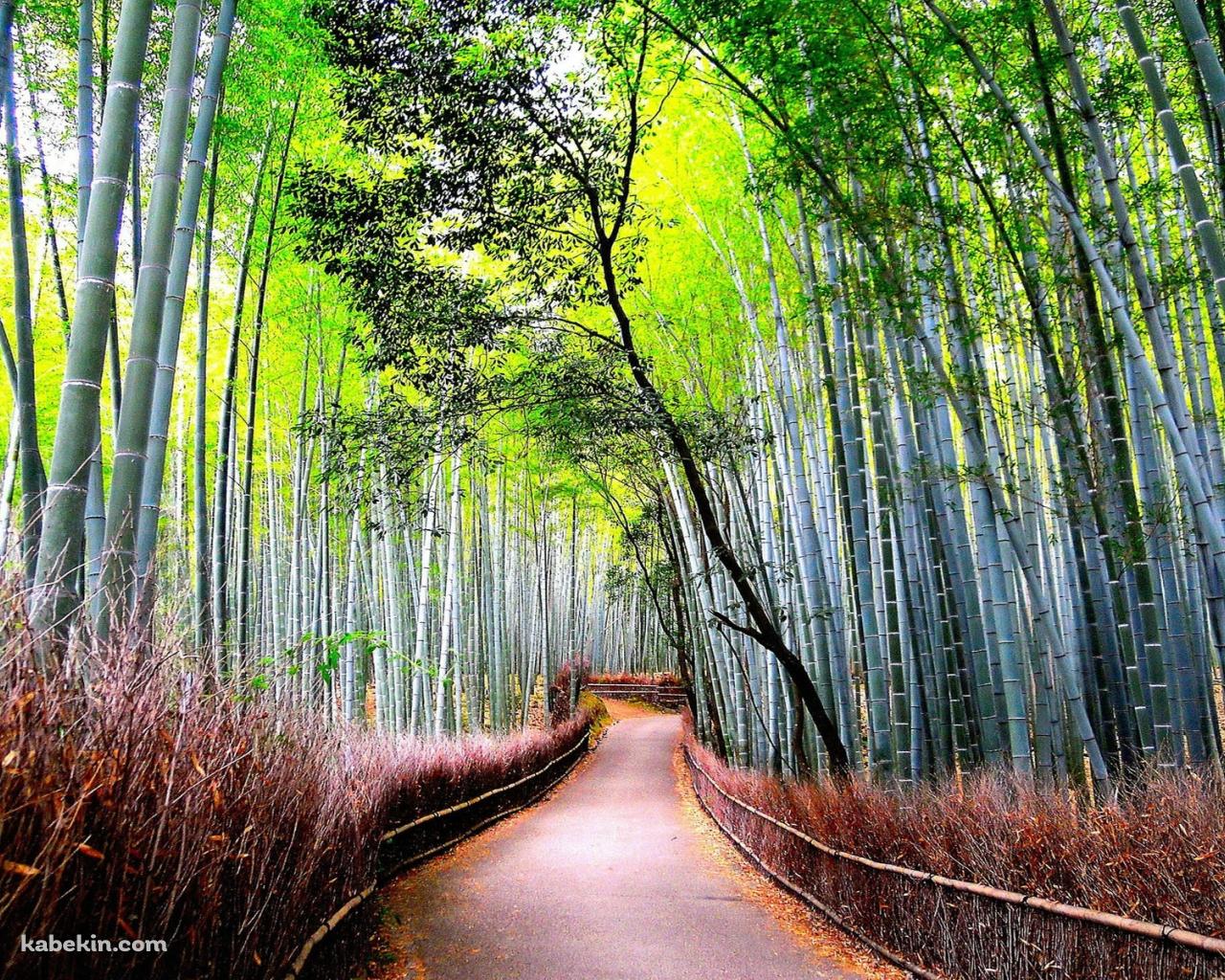 真っ直ぐ伸びる竹林の道の壁紙(1280px x 1024px) 高画質 PC・デスクトップ用