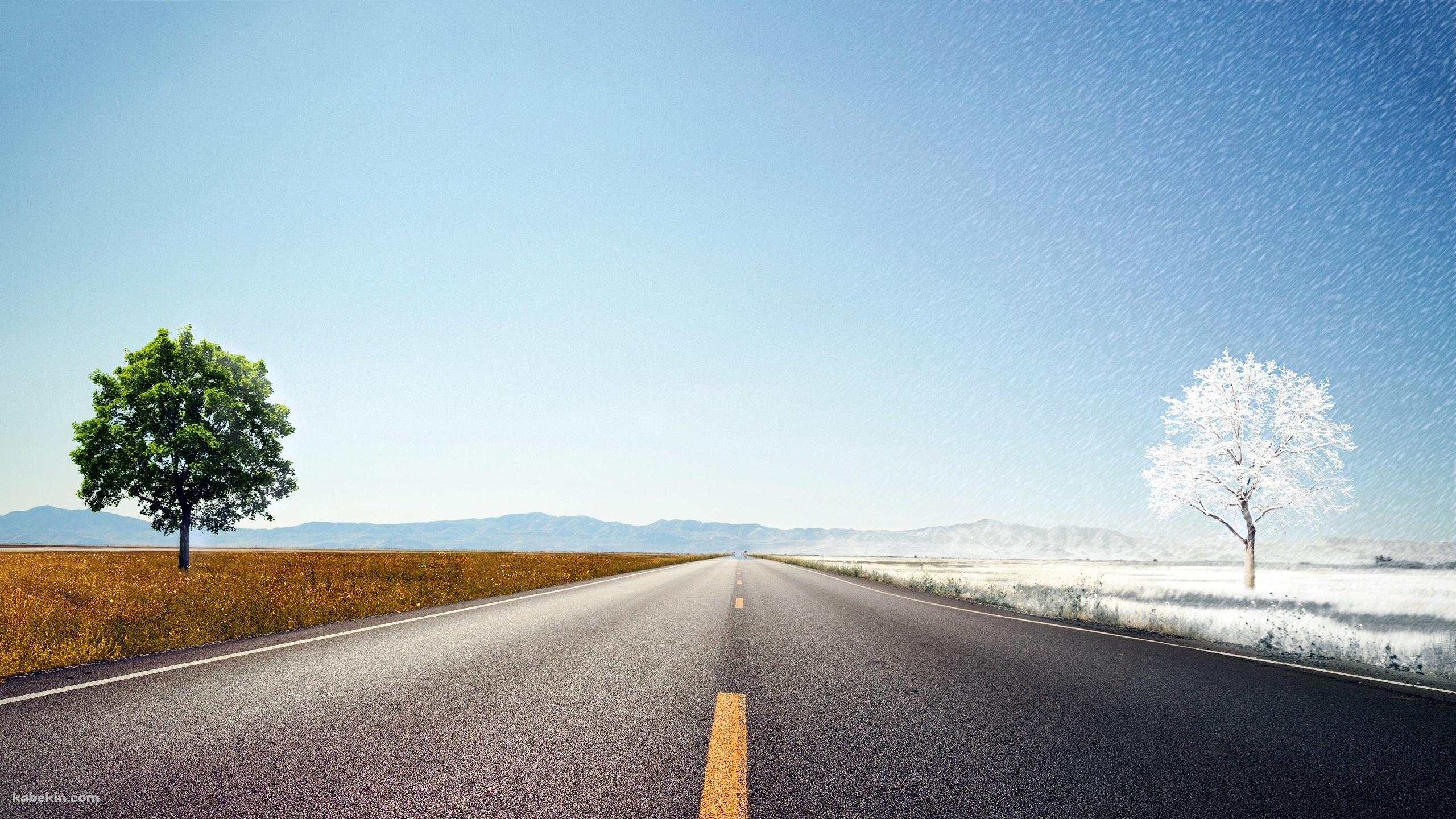 道路を挟んだ夏と冬の壁紙(2560px x 1440px) 高画質 PC・デスクトップ用