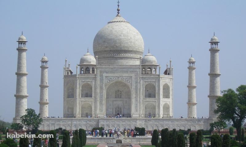 Taj Mahalの壁紙(800px x 480px) 高画質 PC・デスクトップ用