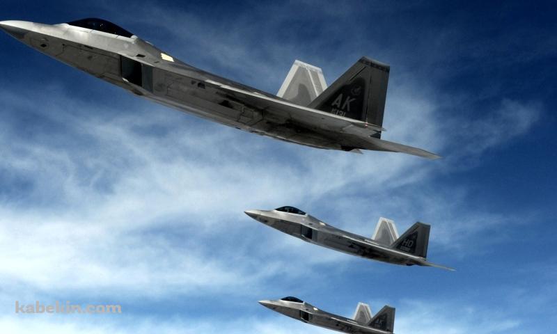 Raptorの壁紙(800px x 480px) 高画質 PC・デスクトップ用