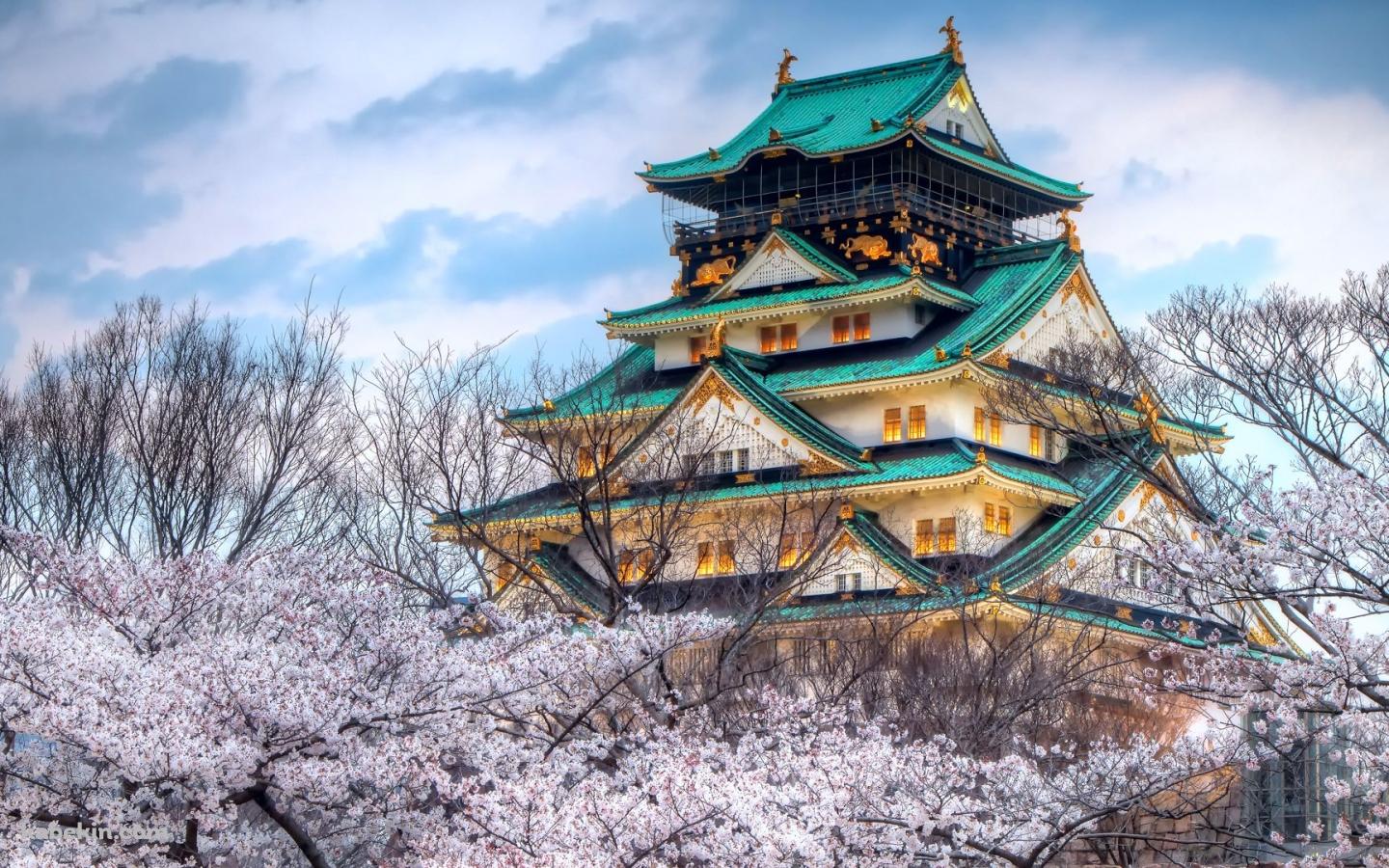 桜と城の壁紙(1440px x 900px) 高画質 PC・デスクトップ用
