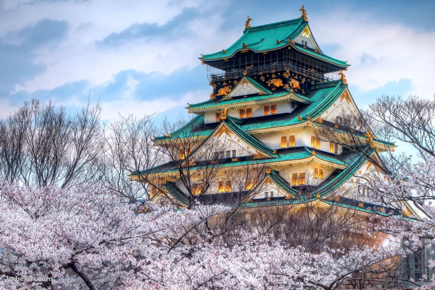 桜と城の壁紙(1440px x 960px) 高画質 PC・デスクトップ用