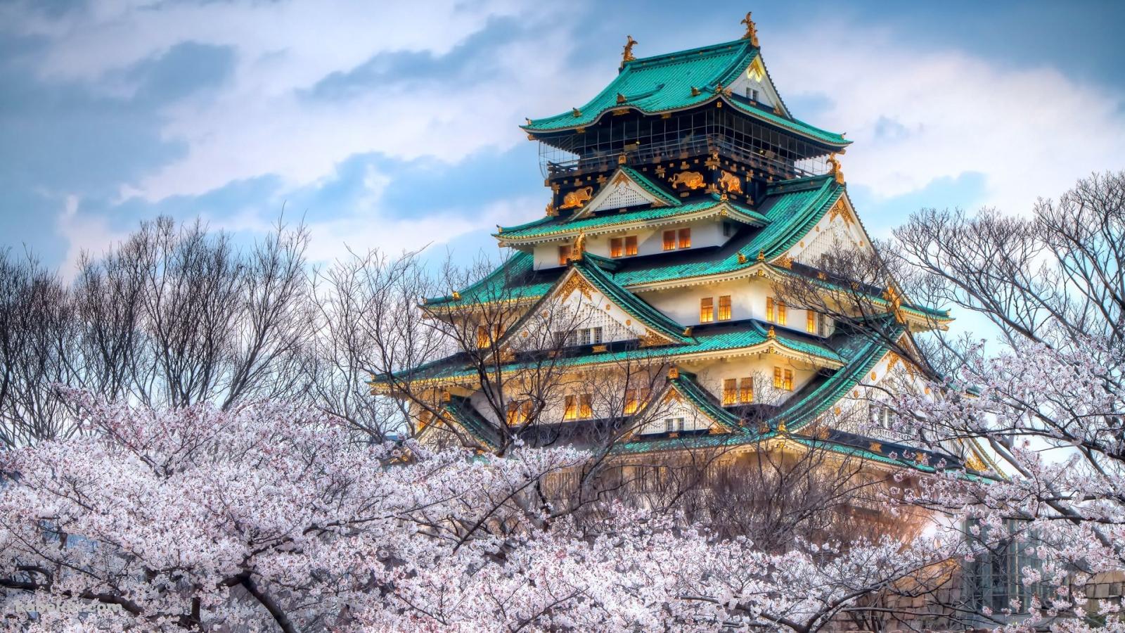 桜と城の壁紙(1600px x 900px) 高画質 PC・デスクトップ用