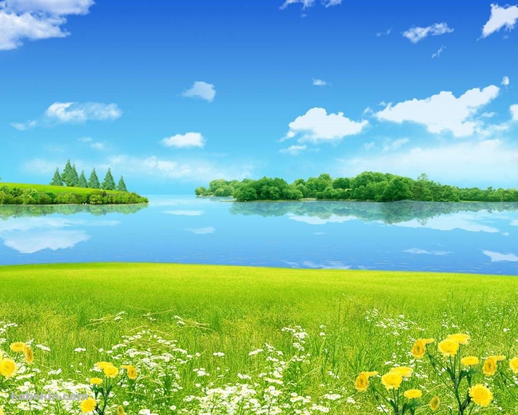 綺麗な花が咲く草原と湖の壁紙(1024px x 820px) 高画質 PC・デスクトップ用