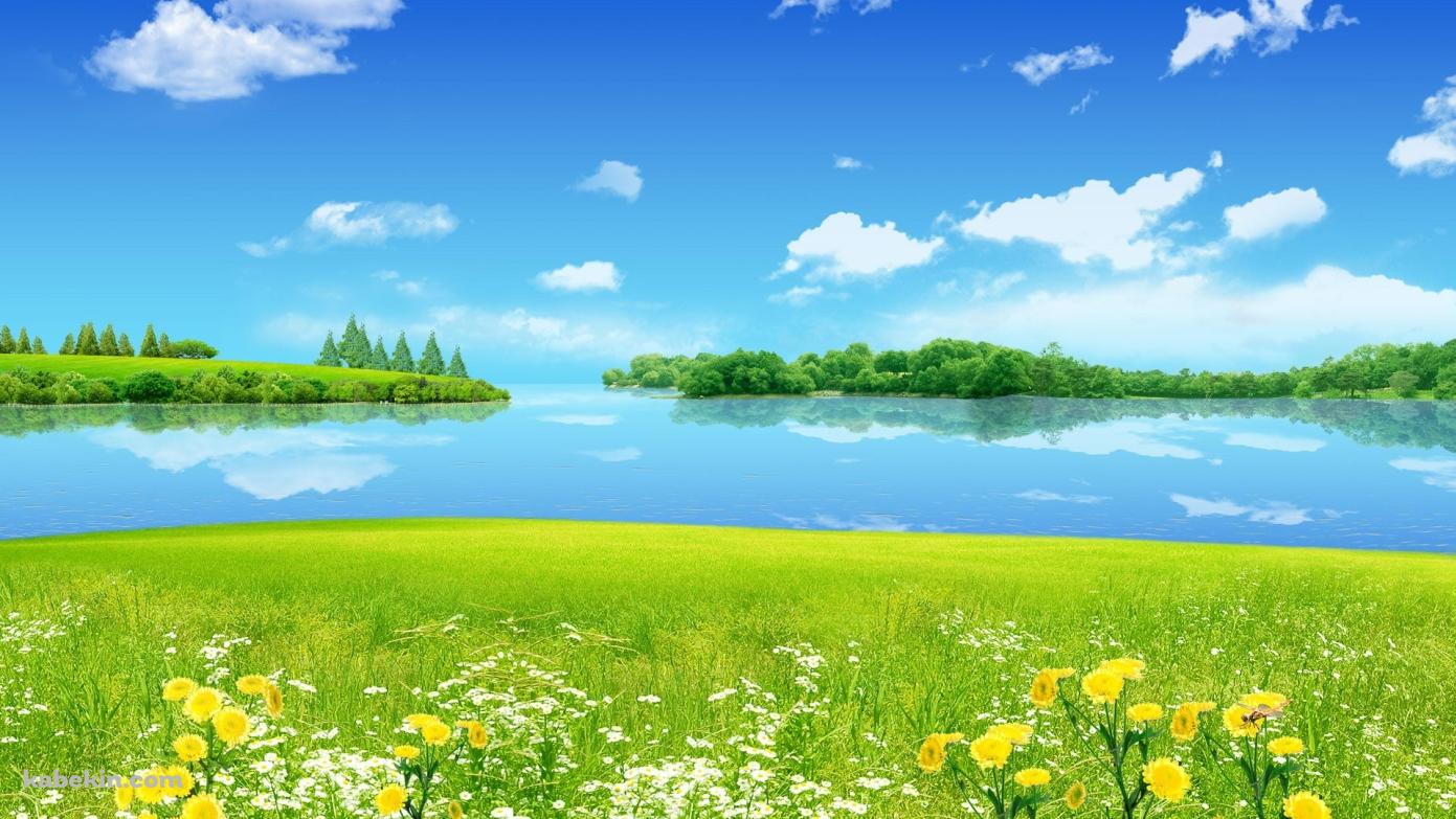 綺麗な花が咲く草原と湖の壁紙(1391px x 783px) 高画質 PC・デスクトップ用
