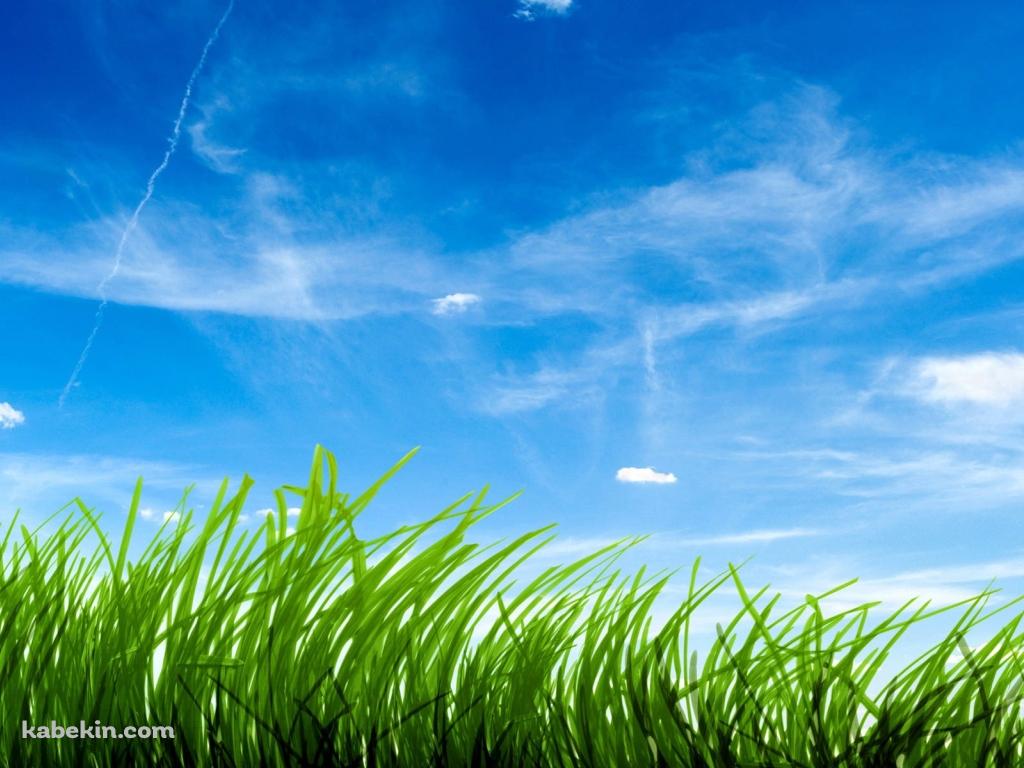 空と緑の壁紙(1024px x 768px) 高画質 PC・デスクトップ用