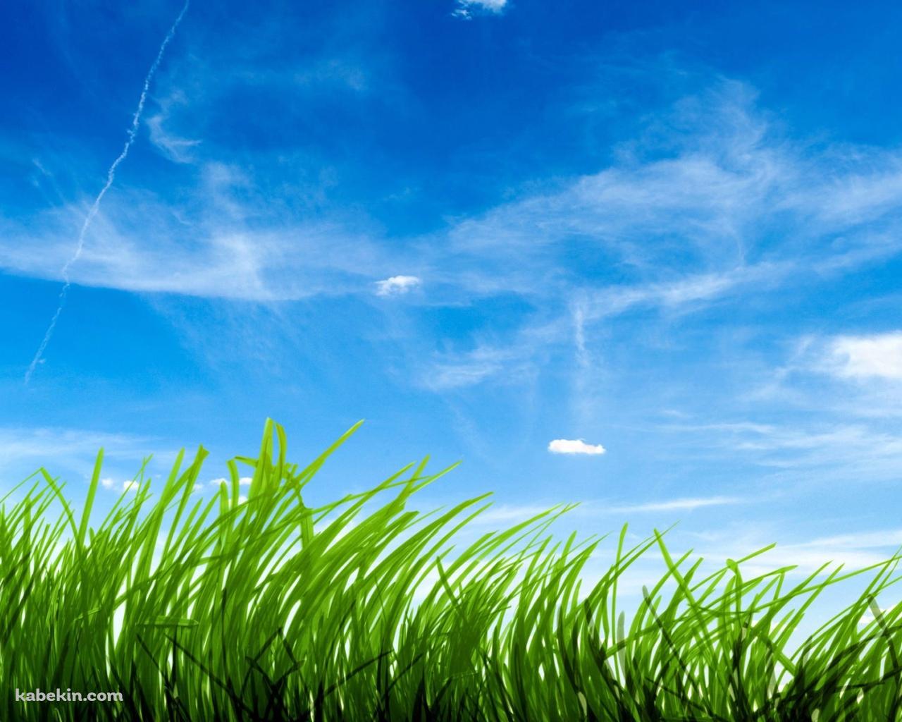 空と緑の壁紙(1280px x 1024px) 高画質 PC・デスクトップ用