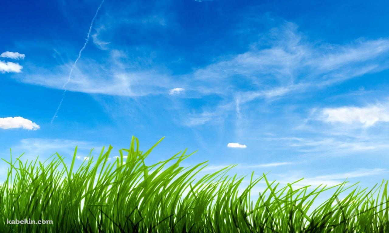 空と緑の壁紙(1280px x 768px) 高画質 PC・デスクトップ用