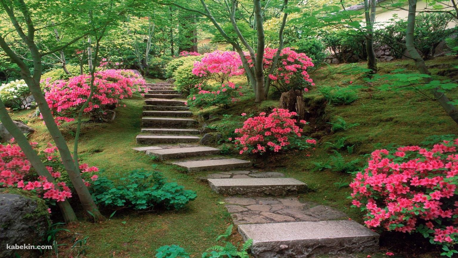 庭園 ガーデン 階段 ピンクの花の壁紙(1536px x 864px) 高画質 PC・デスクトップ用