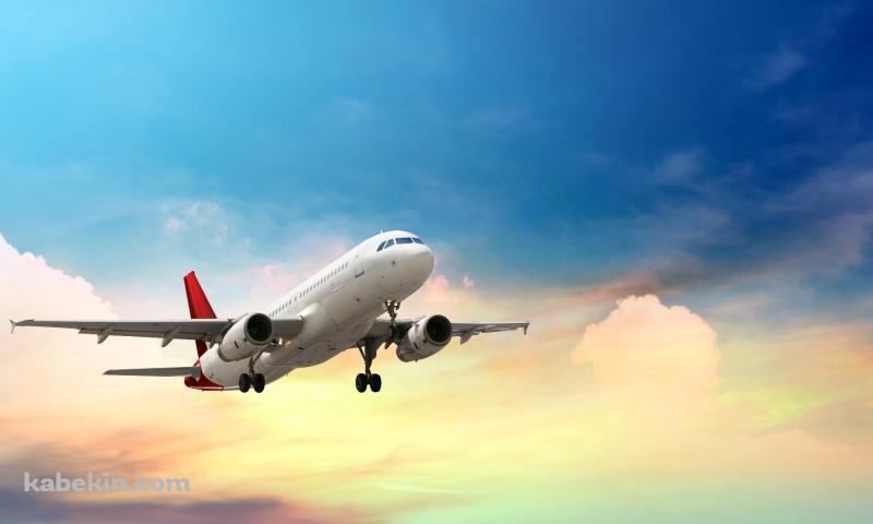 ジャンボジェット 綺麗な青空 飛行機の壁紙(800px x 480px) 高画質 PC・デスクトップ用