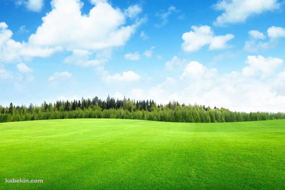 綺麗な草原・森林・青空の壁紙(1152px x 768px) 高画質 PC・デスクトップ用