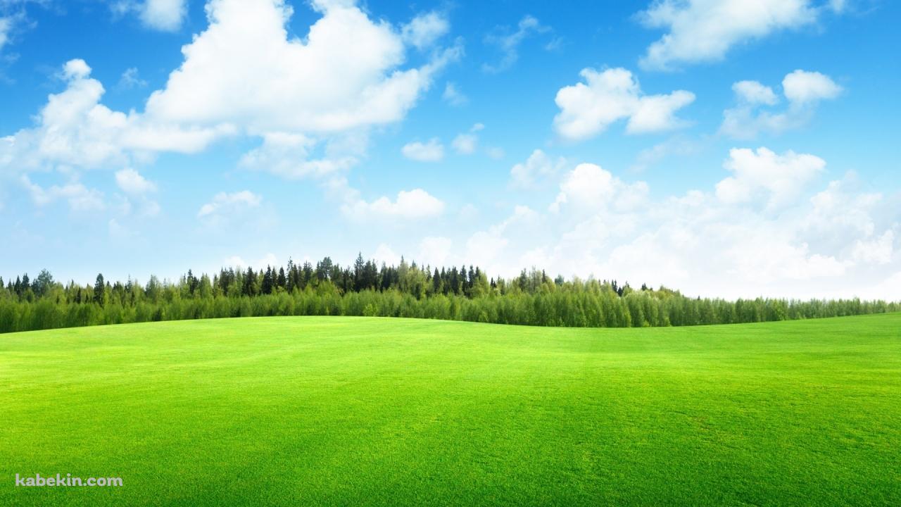 綺麗な草原・森林・青空の壁紙(1280px x 720px) 高画質 PC・デスクトップ用