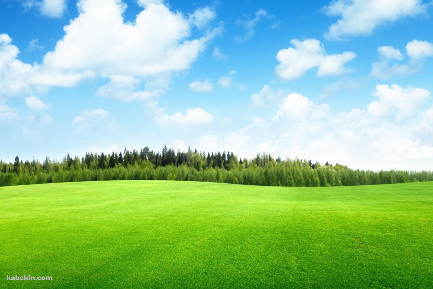 綺麗な草原・森林・青空の壁紙(1440px x 960px) 高画質 PC・デスクトップ用