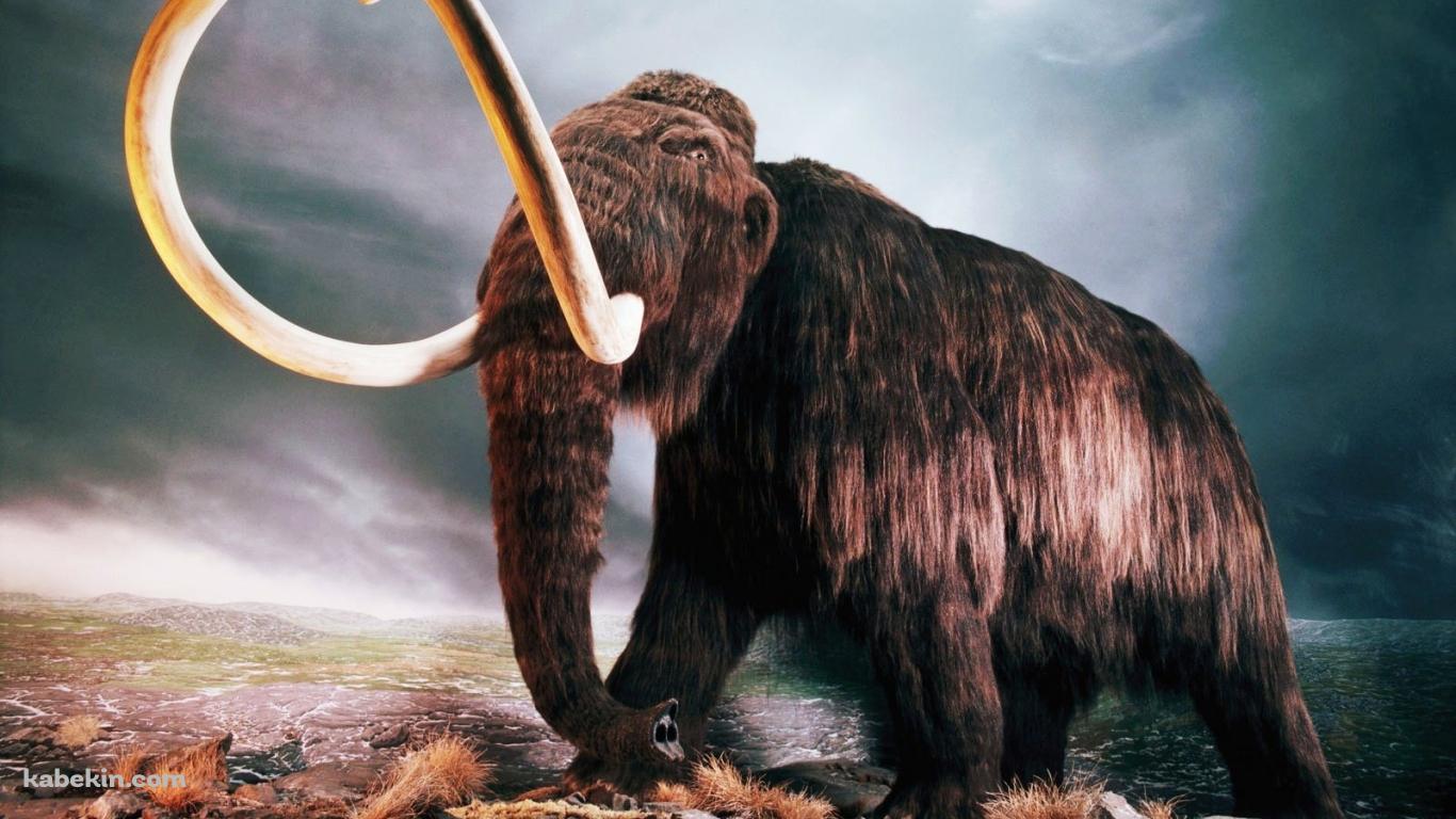 マンモスの壁紙(1366px x 768px) 高画質 PC・デスクトップ用