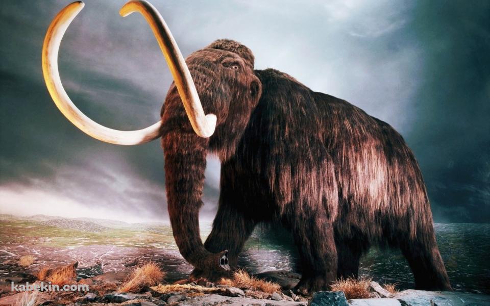 マンモスの壁紙(960px x 600px) 高画質 PC・デスクトップ用
