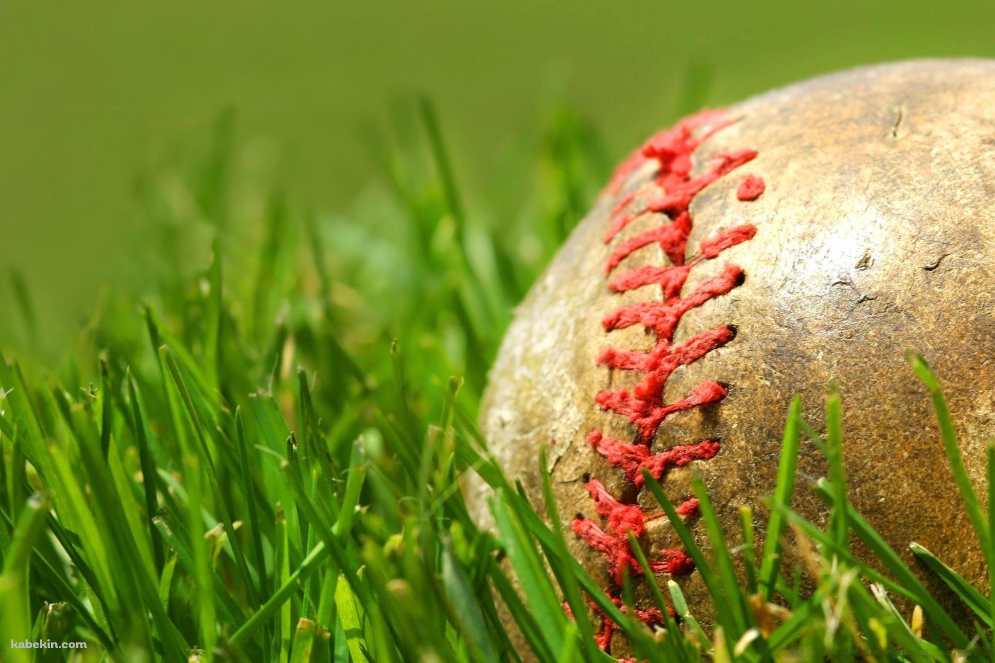 汚れた野球のボール 草むらの壁紙(2000px x 1333px) 高画質 PC・デスクトップ用