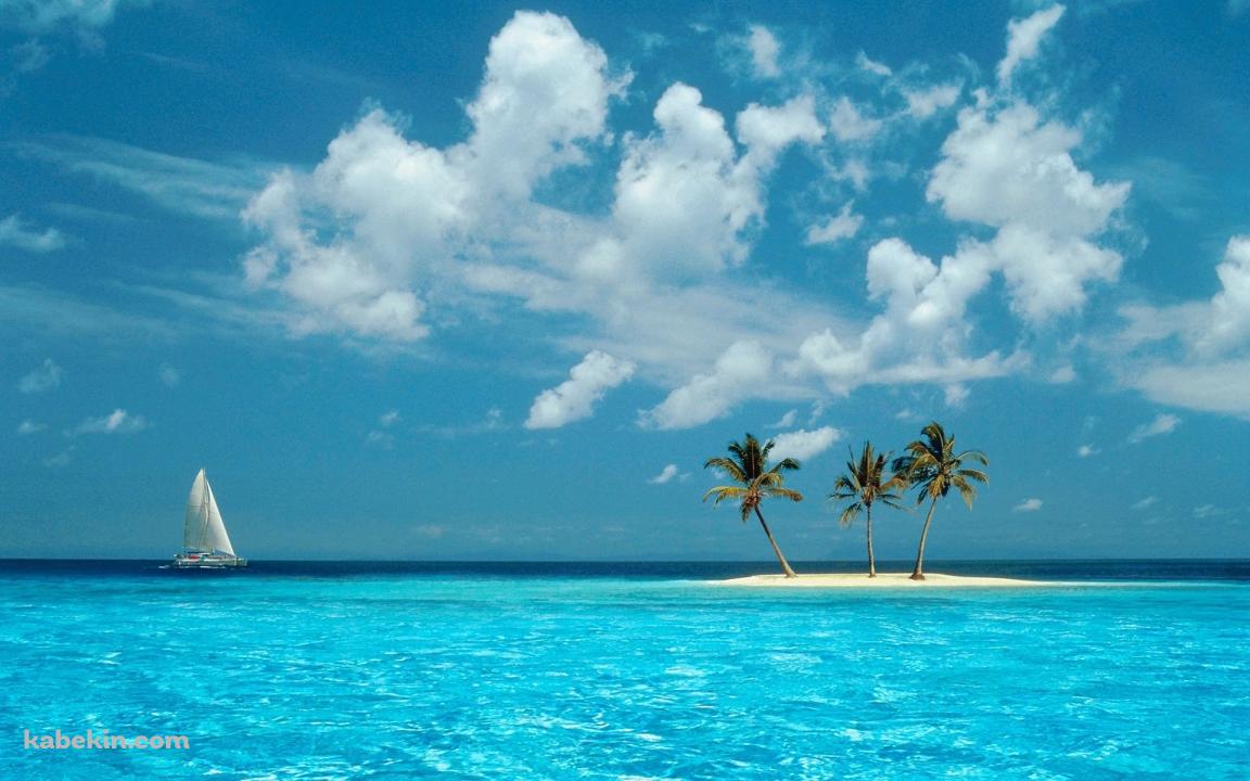 windows xp 綺麗なビーチとヨットと椰子の木の壁紙(1152px x 720px) 高画質 PC・デスクトップ用