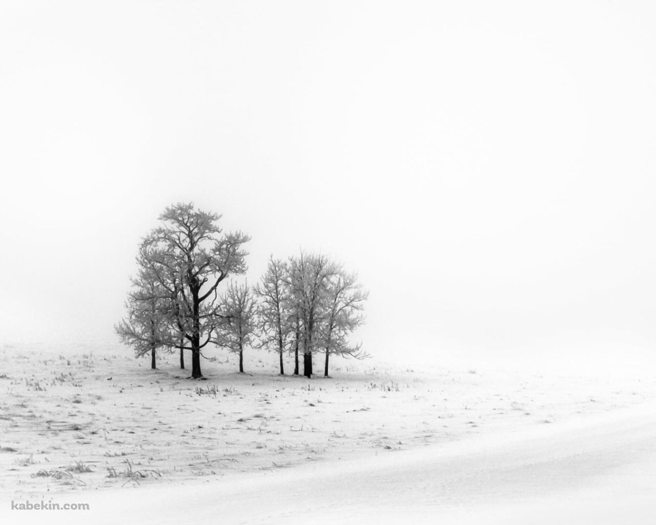 白い雪景色 枯れ木の壁紙(1280px x 1024px) 高画質 PC・デスクトップ用
