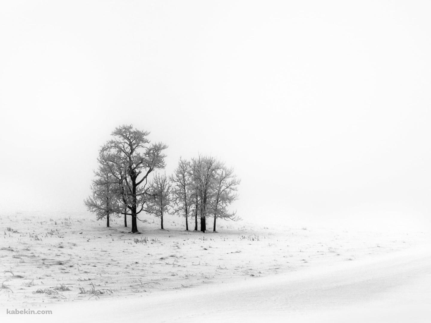 白い雪景色 枯れ木の壁紙(1440px x 1080px) 高画質 PC・デスクトップ用