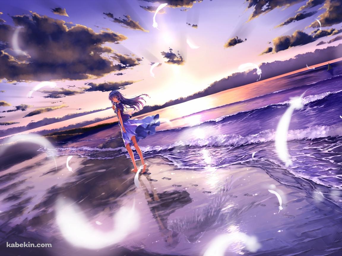 白い羽舞う海岸と少女の壁紙(1152px x 864px) 高画質 PC・デスクトップ用