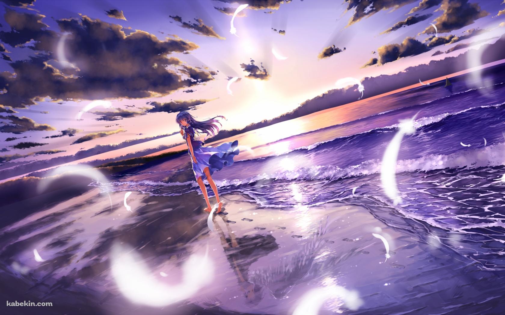 白い羽舞う海岸と少女の壁紙(1680px x 1050px) 高画質 PC・デスクトップ用