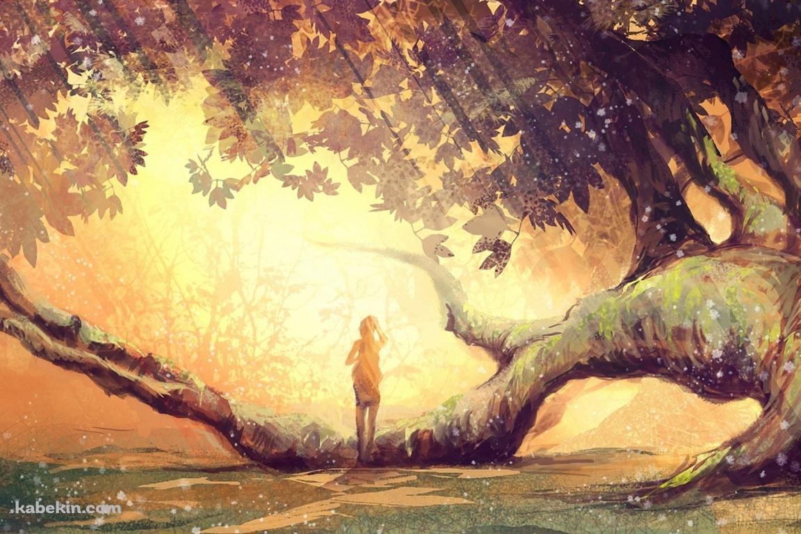 秋の木漏れ日を浴びる少女の壁紙(1152px x 768px) 高画質 PC・デスクトップ用