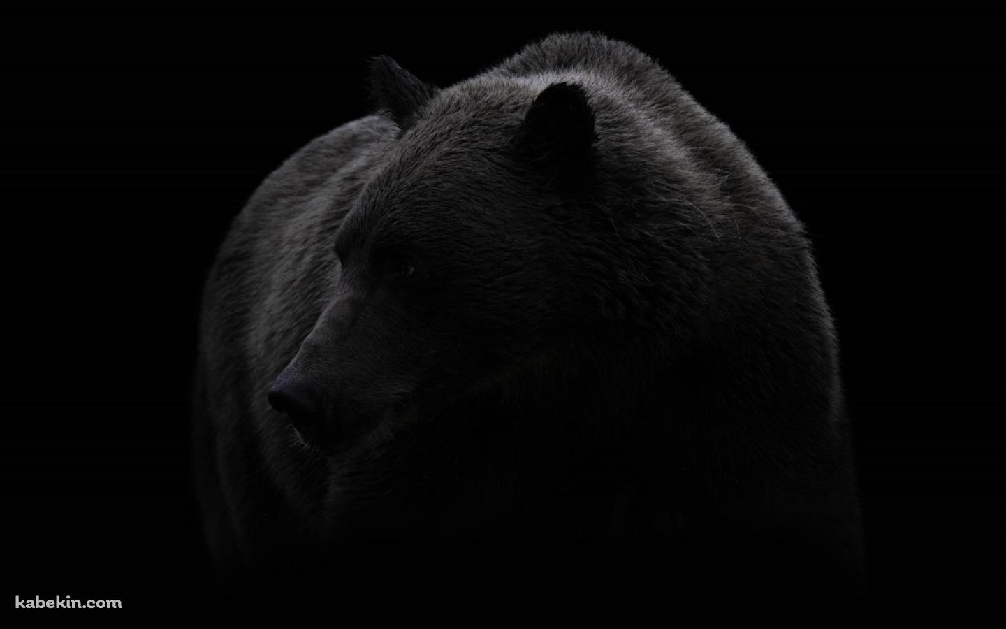 グリズリー 大きな熊の壁紙(1440px x 900px) 高画質 PC・デスクトップ用