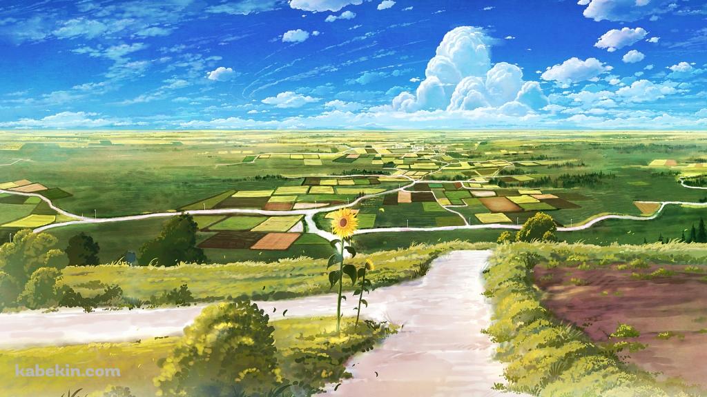 向日葵咲く田舎のあぜ道の壁紙(1024px x 576px) 高画質 PC・デスクトップ用