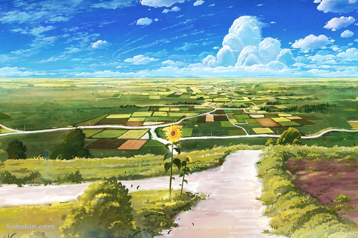 向日葵咲く田舎のあぜ道の壁紙(1152px x 768px) 高画質 PC・デスクトップ用