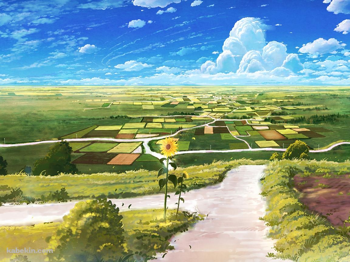 向日葵咲く田舎のあぜ道の壁紙(1152px x 864px) 高画質 PC・デスクトップ用