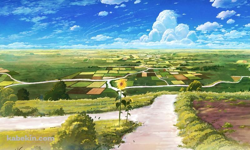 向日葵咲く田舎のあぜ道の壁紙(800px x 480px) 高画質 PC・デスクトップ用