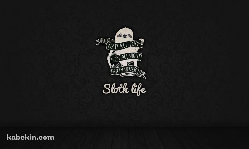 Sloth life ナマケモノの壁紙(800px x 480px) 高画質 PC・デスクトップ用