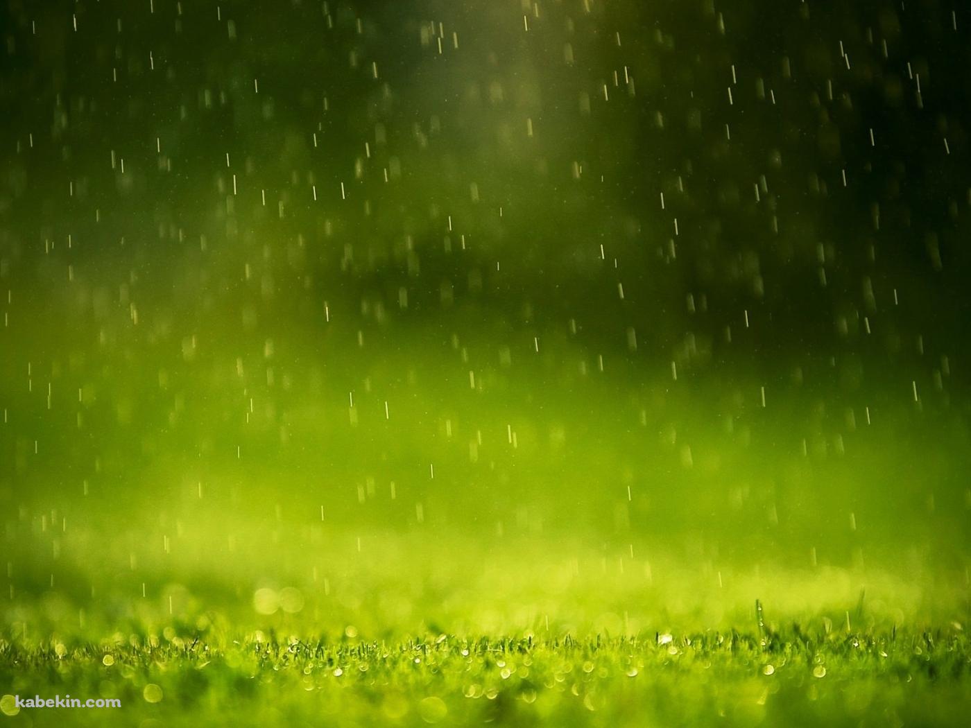 緑の雨の壁紙(1400px x 1050px) 高画質 PC・デスクトップ用