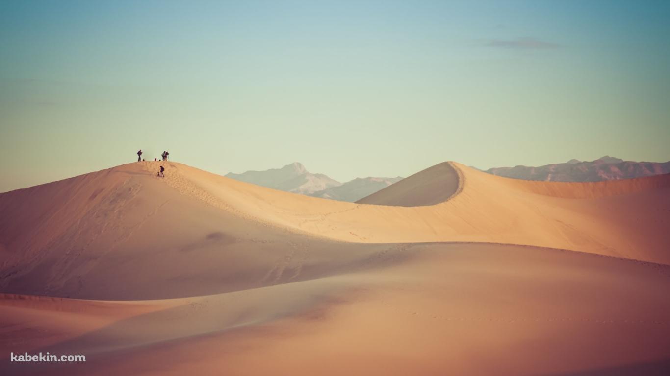砂漠のキャラバンの壁紙(1366px x 768px) 高画質 PC・デスクトップ用