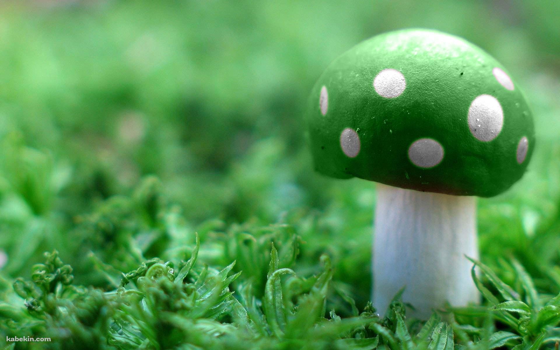 緑のマッシュルームの壁紙(1920px x 1200px) 高画質 PC・デスクトップ用