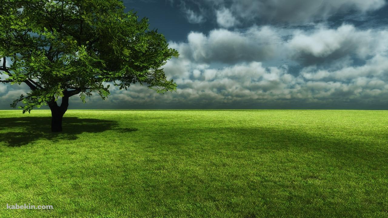 見晴らしの良い草原と大木の壁紙(1280px x 720px) 高画質 PC・デスクトップ用