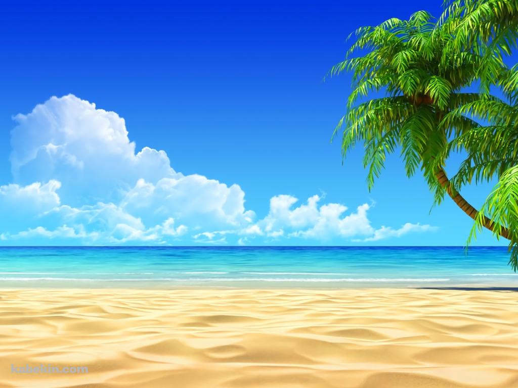 夏 SUMMER ビーチ 椰子の木 青空の壁紙(1024px x 768px) 高画質 PC・デスクトップ用