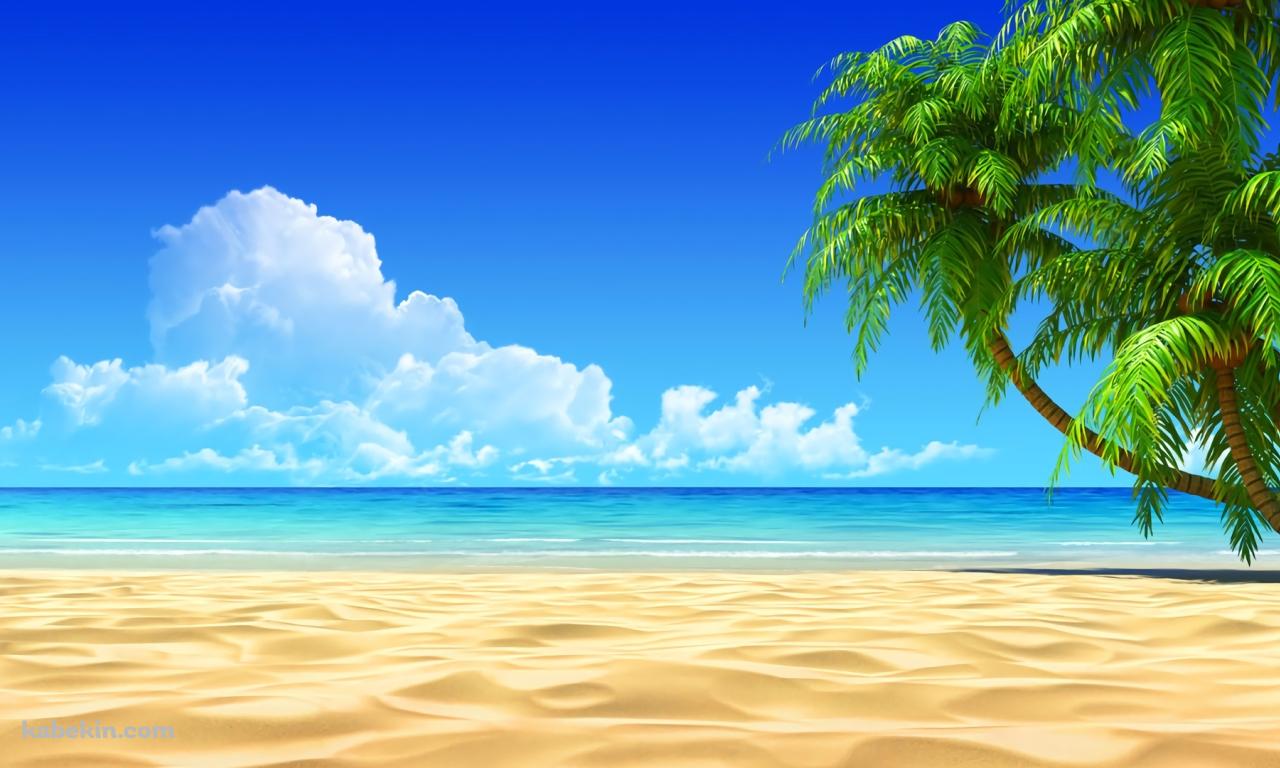 夏 SUMMER ビーチ 椰子の木 青空の壁紙(1280px x 768px) 高画質 PC・デスクトップ用