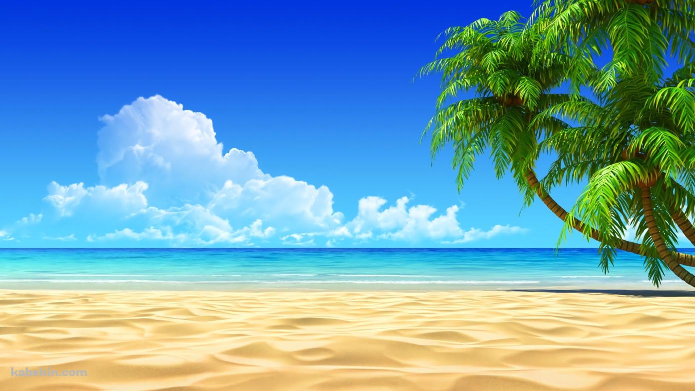 夏 SUMMER ビーチ 椰子の木 青空の壁紙(1391px x 783px) 高画質 PC・デスクトップ用
