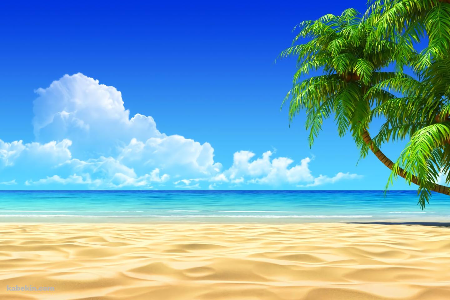 夏 SUMMER ビーチ 椰子の木 青空の壁紙(1440px x 960px) 高画質 PC・デスクトップ用