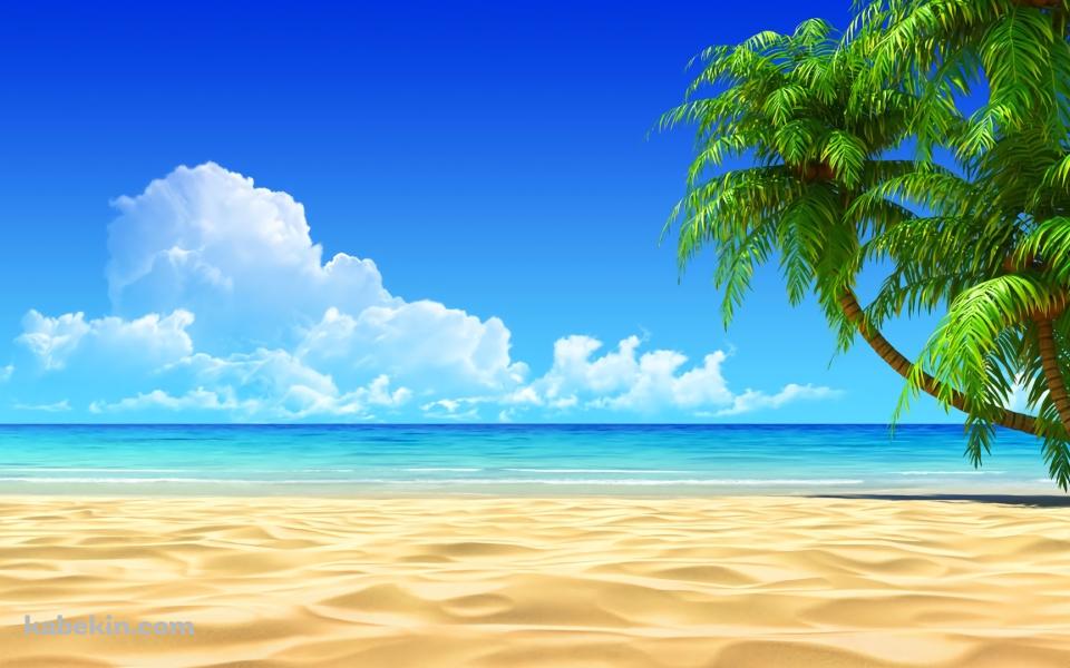 夏 SUMMER ビーチ 椰子の木 青空の壁紙(960px x 600px) 高画質 PC・デスクトップ用