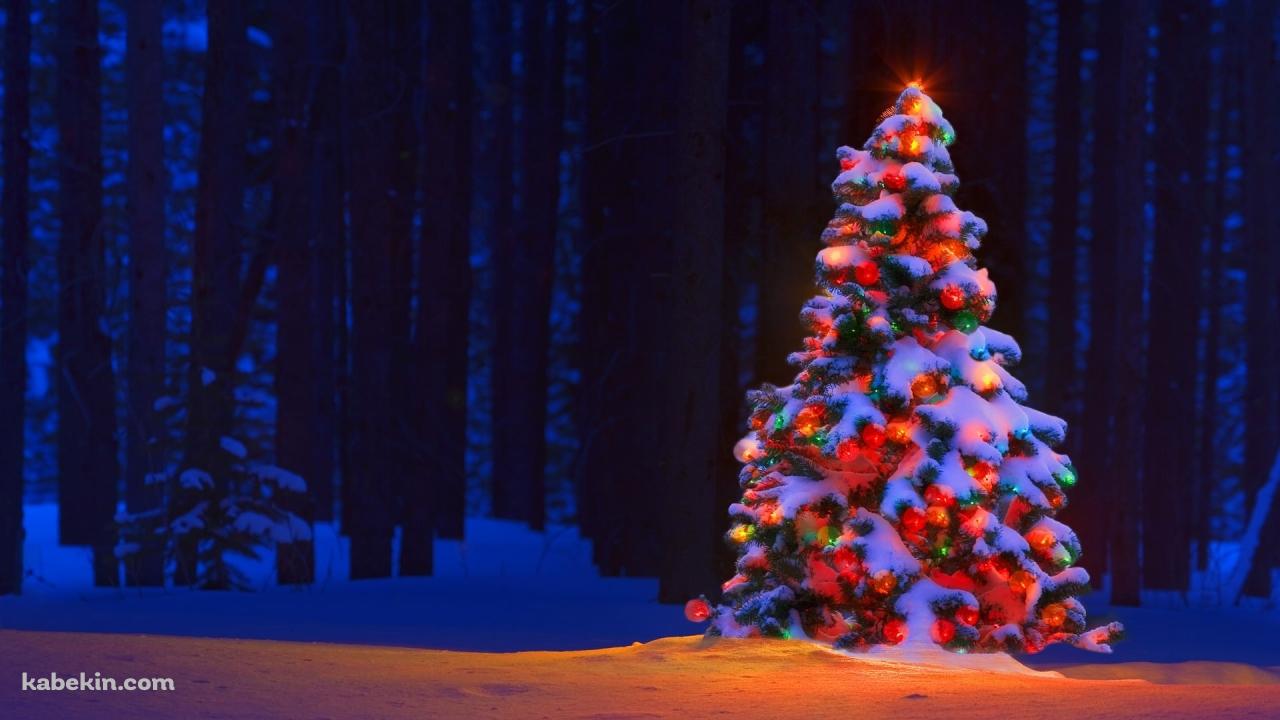 電飾したクリスマスツリーの壁紙(1280px x 720px) 高画質 PC・デスクトップ用