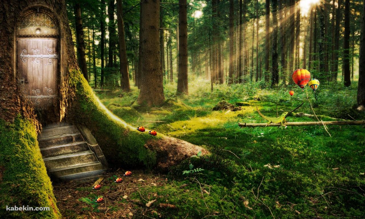 幻想的な森の壁紙(1280px x 768px) 高画質 PC・デスクトップ用