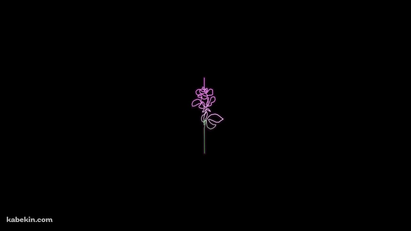 ミニマル 薔薇 ラインアートの壁紙(1366px x 768px) 高画質 PC・デスクトップ用