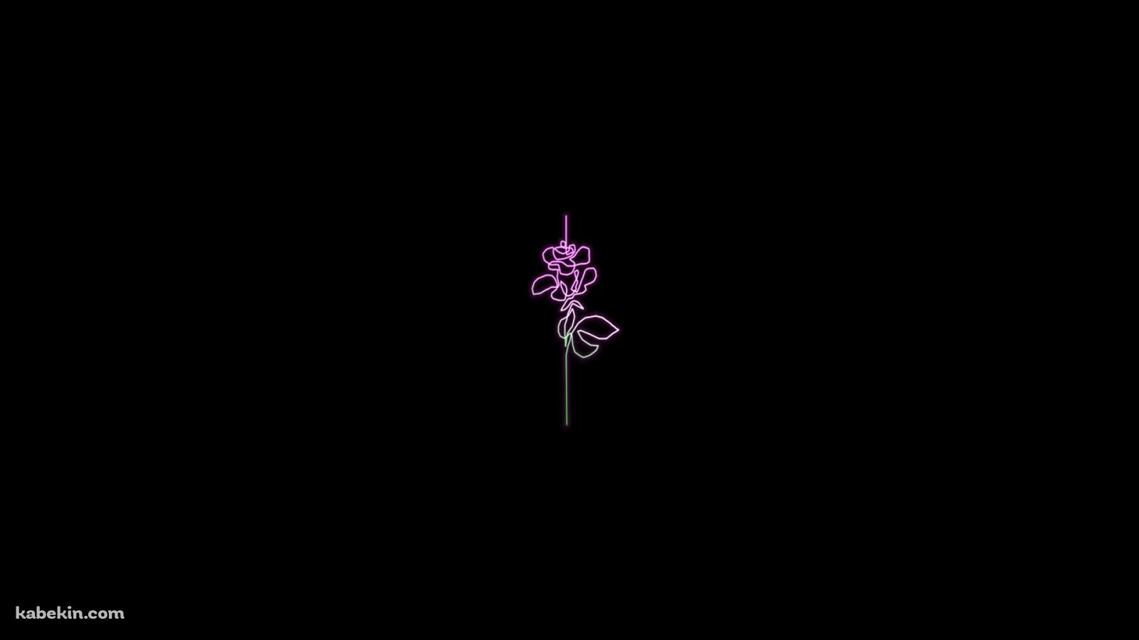 ミニマル 薔薇 ラインアートの壁紙(1600px x 900px) 高画質 PC・デスクトップ用
