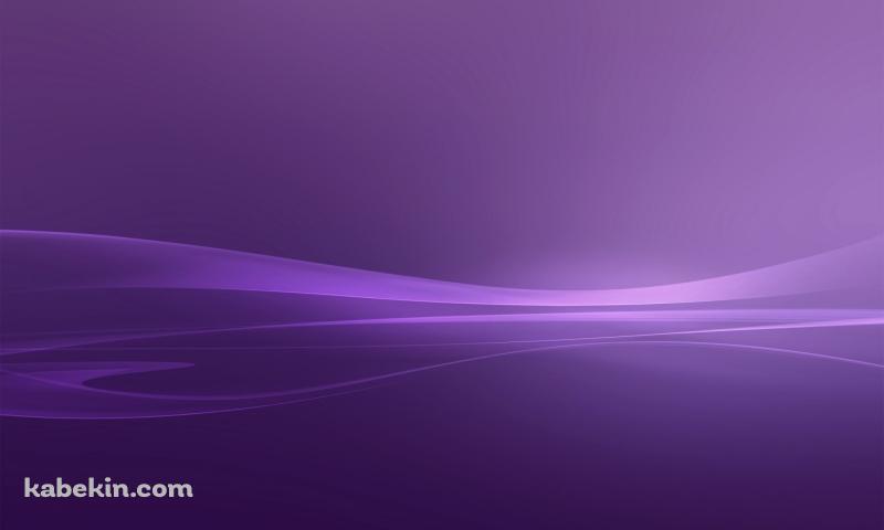 綺麗な紫のラインの壁紙(800px x 480px) 高画質 PC・デスクトップ用