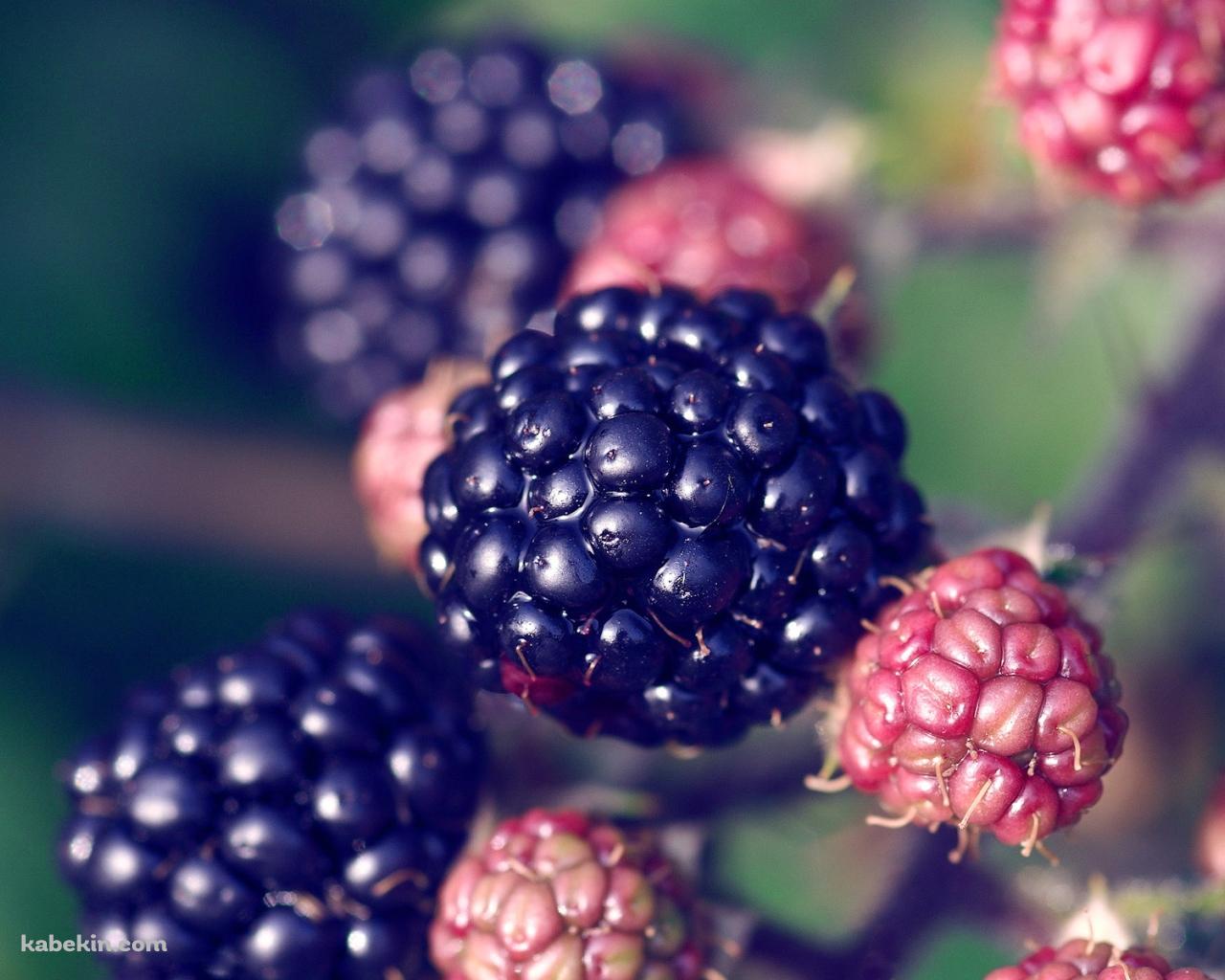 Black Berryの壁紙(1280px x 1024px) 高画質 PC・デスクトップ用
