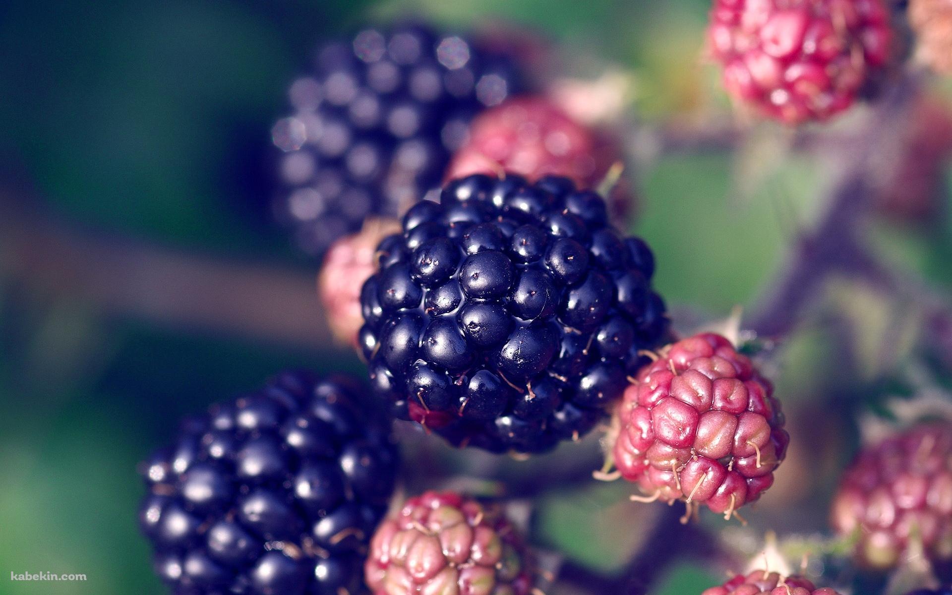 Black Berryの壁紙(1920px x 1200px) 高画質 PC・デスクトップ用